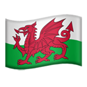 🏴󠁧󠁢󠁷󠁬󠁳󠁿 Emoji Bandera: Gales en Apple iOS 17.4.