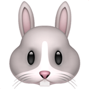 Émoji 🐰 Tête De Lapin sur Apple iOS 17.4.
