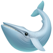 Émoji 🐋 Baleine sur Apple iOS 17.4.