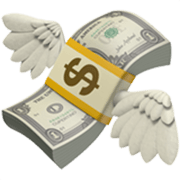 Billete Con Alas