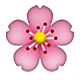🌸 Emoji Kirschblüte Apple iOS 4.0.