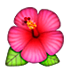🌺 Emoji Flor De Hibisco en Apple iOS 4.0.