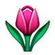Émoji 🌷 Tulipe sur Apple iOS 4.0.