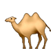 🐫 Emoji Camelo Com Duas Corcovas na Apple iOS 5.0.