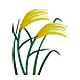 🌾 Emoji Planta De Arroz na Apple iOS 5.0.