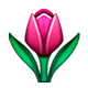 Émoji 🌷 Tulipe sur Apple iOS 5.0.