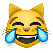 Emoji 😹 Gatto Con Lacrime Di Gioia su Apple iOS 5.1.