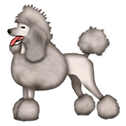 🐩 Emoji Poodle na Apple iOS 5.1.
