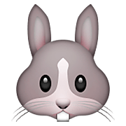 Emoji 🐰 Muso Di Coniglio su Apple iOS 5.1.