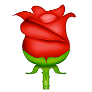 🌹 Emoji Rosa na Apple iOS 5.1.