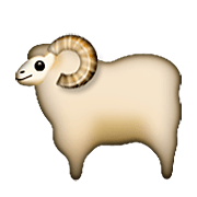 Émoji 🐑 Mouton sur Apple iOS 5.1.