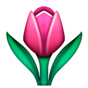 🌷 Emoji Tulipán en Apple iOS 5.1.