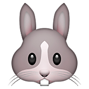 Émoji 🐰 Tête De Lapin sur Apple iOS 6.0.