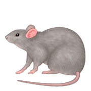Émoji 🐀 Rat sur Apple iOS 6.0.