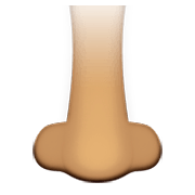 Emoji 👃🏽 Naso: Carnagione Olivastra su Apple iOS 8.3.