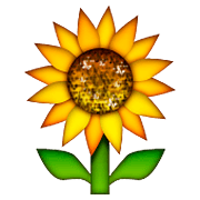 🌻 Emoji Sonnenblume Apple iOS 8.3.