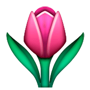 Emoji 🌷 Tulipano su Apple iOS 8.3.