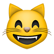 Rosto De Gato Sorrindo Com Olhos Sorridentes