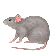 Émoji 🐀 Rat sur Apple iOS 9.0.