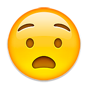 Emoji 😧 Faccina Angosciata su Apple iOS 9.3.