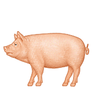 🐖 Emoji Schwein Apple iOS 9.3.