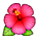 🌺 Emoji Flor De Hibisco en Apple iPhone OS 2.2.
