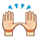 🙌 Emoji zwei erhobene Handflächen Apple iPhone OS 2.2.