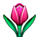 🌷 Emoji Tulipán en Apple iPhone OS 2.2.