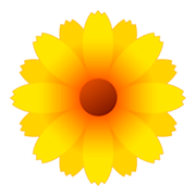🌼 Emoji gelbe Blüte emojidex 1.0.14.