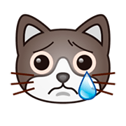 Emoji 😿 Gatto Che Piange su emojidex 1.0.14.