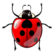 Emoji 🐞 Coccinella su emojidex 1.0.14.