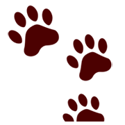 Emoji 🐾 Impronte Di Zampe su emojidex 1.0.14.