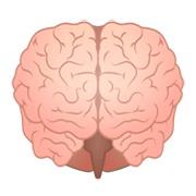 Emoji 🧠 Cervello su emojidex 1.0.34.