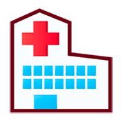 Emoji 🏥 Ospedale su emojidex 1.0.34.