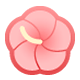 Emoji 🌺 Ibisco su Facebook 1.0.