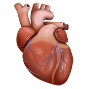 🫀 Emoji Corazón anatómico en Facebook 13.1.
