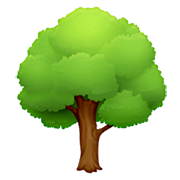 🌳 Emoji árbol De Hoja Caduca en Facebook 13.1.
