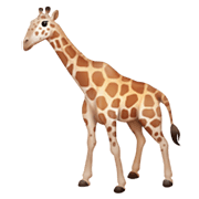 Émoji 🦒 Girafe sur Facebook 13.1.