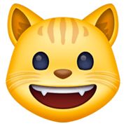 😺 Emoji grinsende Katze Facebook 13.1.