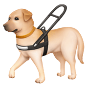 🦮 Emoji Blindenhund Facebook 13.1.
