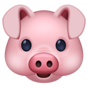 🐷 Emoji Cara De Cerdo en Facebook 13.1.