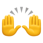 🙌 Emoji zwei erhobene Handflächen Facebook 13.1.