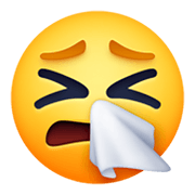🤧 Emoji Cara Estornudando en Facebook 13.1.
