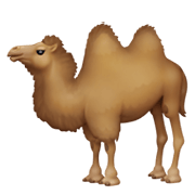 🐫 Emoji Camello en Facebook 13.1.