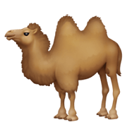 Émoji 🐫 Chameau sur Facebook 13.1.