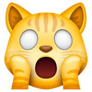 Emoji 🙀 Gatto Esterrefatto su Facebook 13.1.