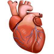 🫀 Emoji Corazón anatómico en Facebook 14.0.