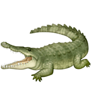 Émoji 🐊 Crocodile sur Facebook 14.0.