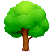 🌳 Emoji árbol De Hoja Caduca en Facebook 14.0.