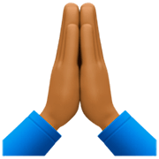 🙏🏾 Emoji Manos En Oración: Tono De Piel Oscuro Medio en Facebook 14.0.